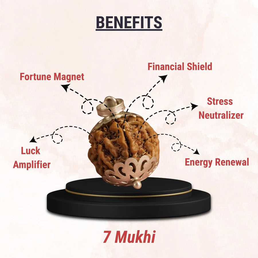 7 Mukhi Nepali Rudraksha (Saat Mukhi)