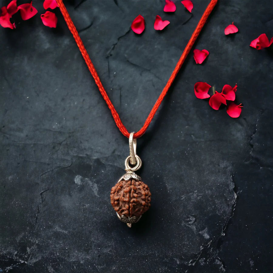 7 Mukhi Nepali Rudraksha (Saat Mukhi)