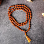 Brown Rudraksha Mala - 108+1 Beads