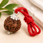 Original 5 Mukhi Nepali Rudraksha