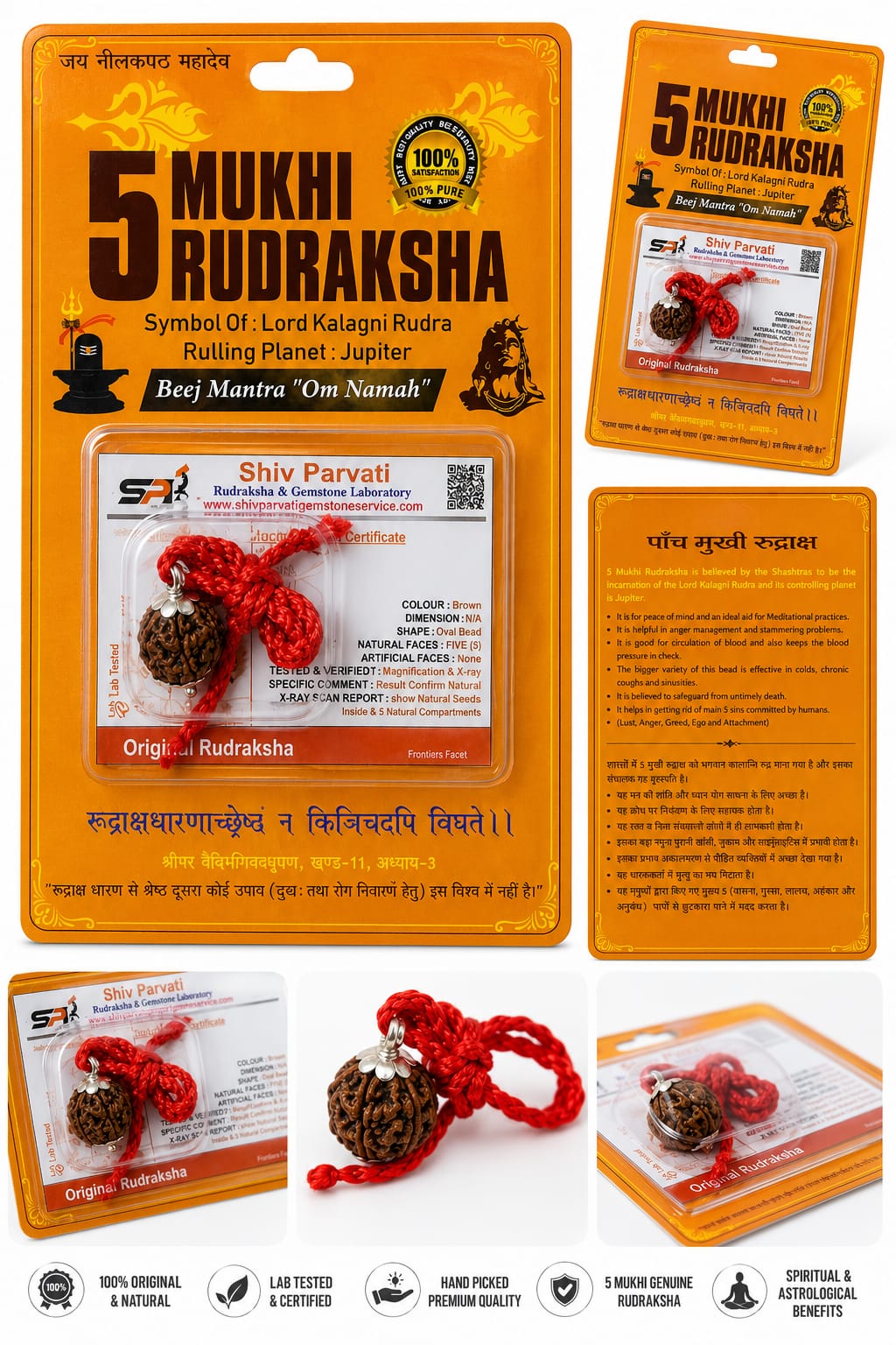 Original 5 Mukhi Nepali Rudraksha