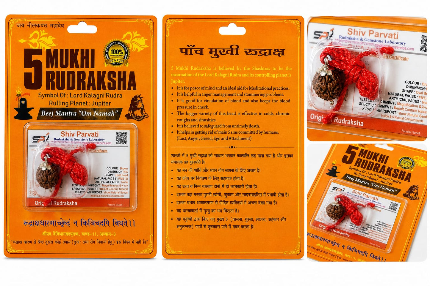 Original 5 Mukhi Nepali Rudraksha